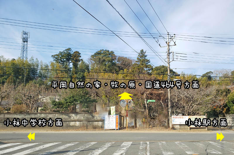 小林小学校付近の道路工事