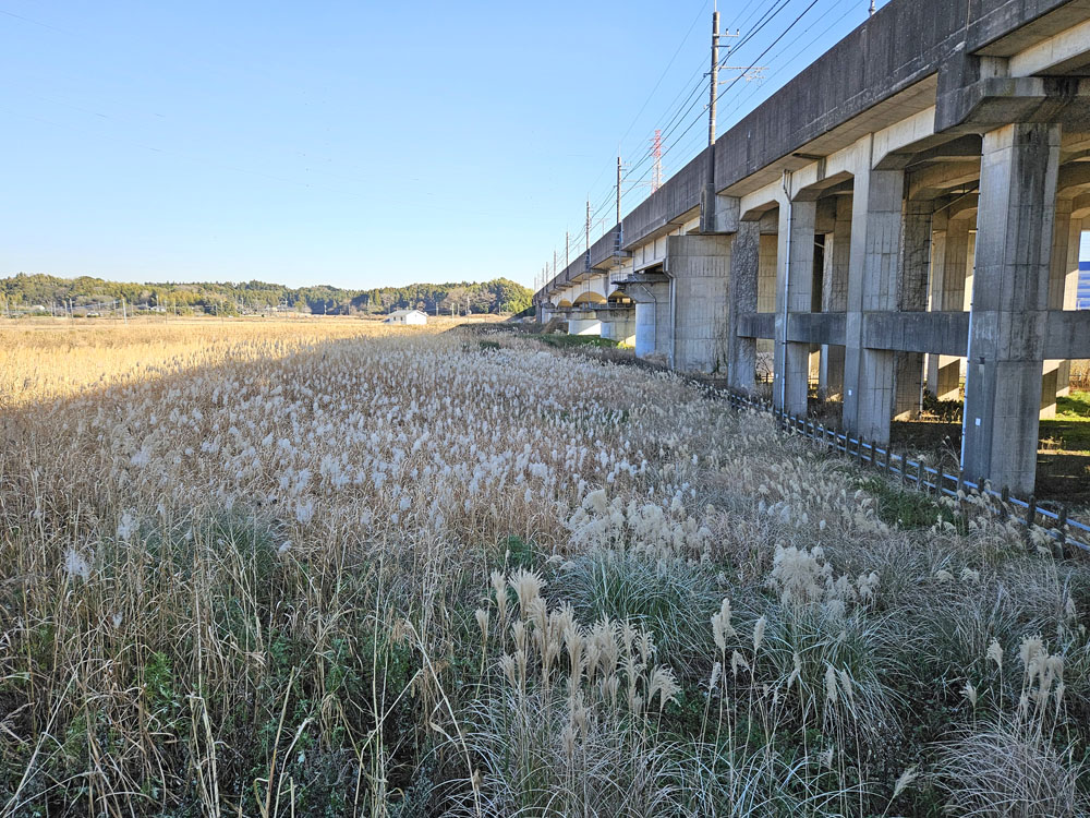 北千葉道路進捗イオンモール裏2024年1月