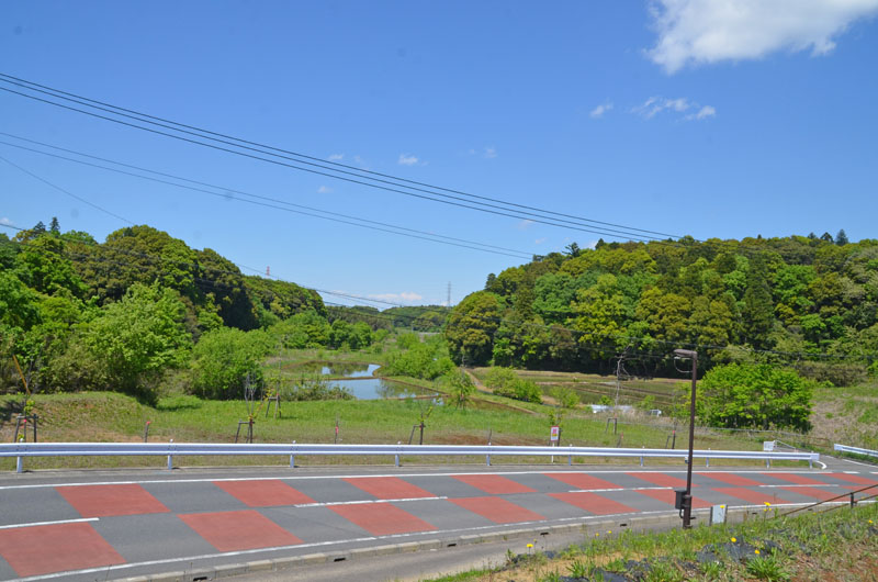 印西市別所の里山