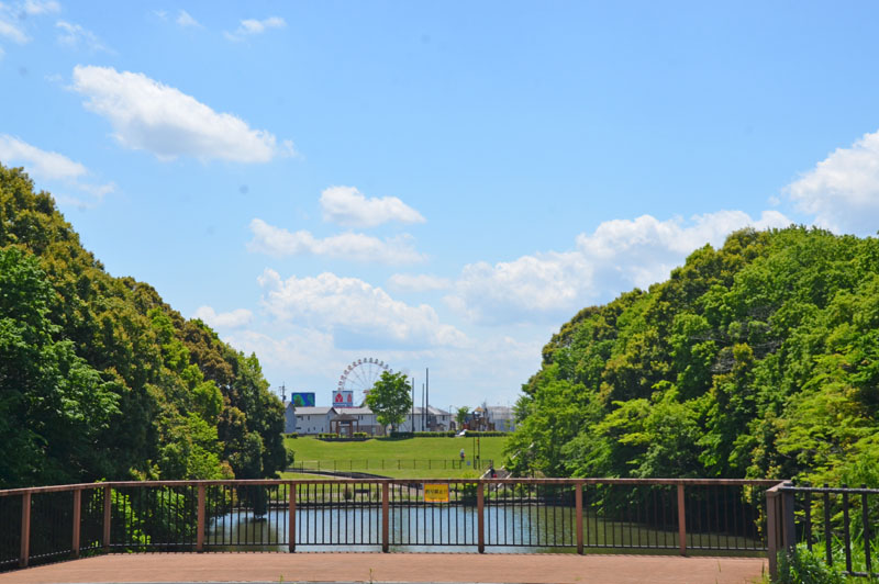 別所谷津公園の池