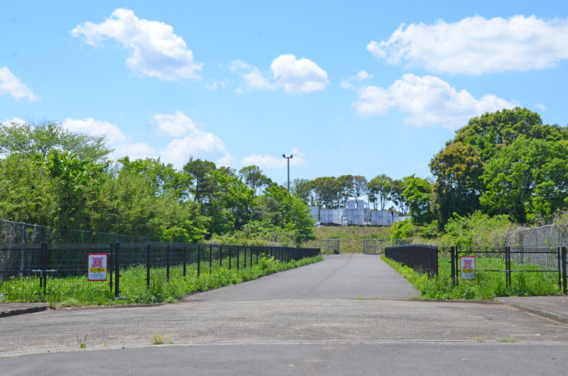 別所緑地の歩道