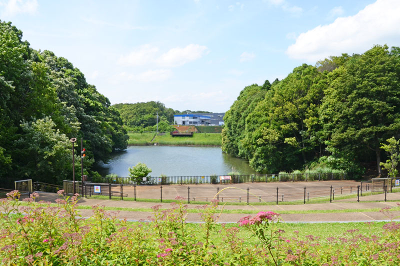 別所谷津公園
