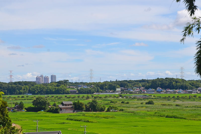 印西市松崎の田園風景