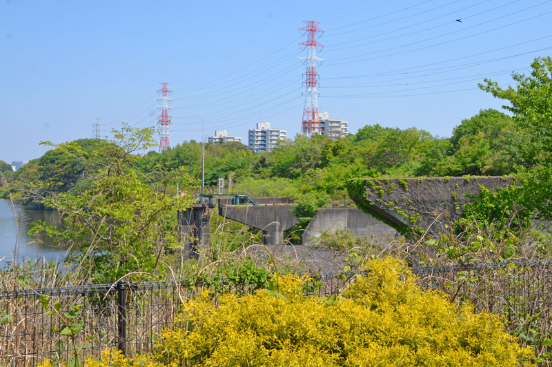 北総花の丘公園の使われていない道路橋脚