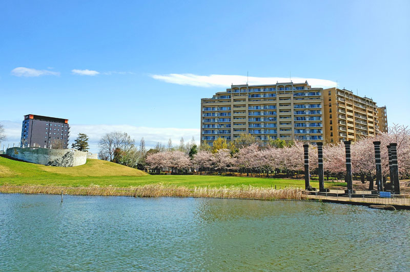 草深公園の桜