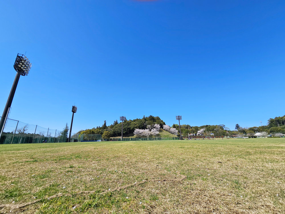 印旛西部公園