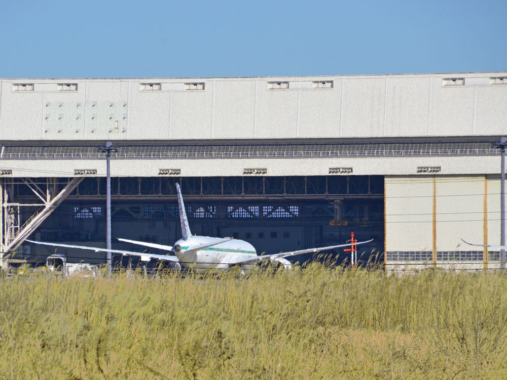 三里塚さくらの丘