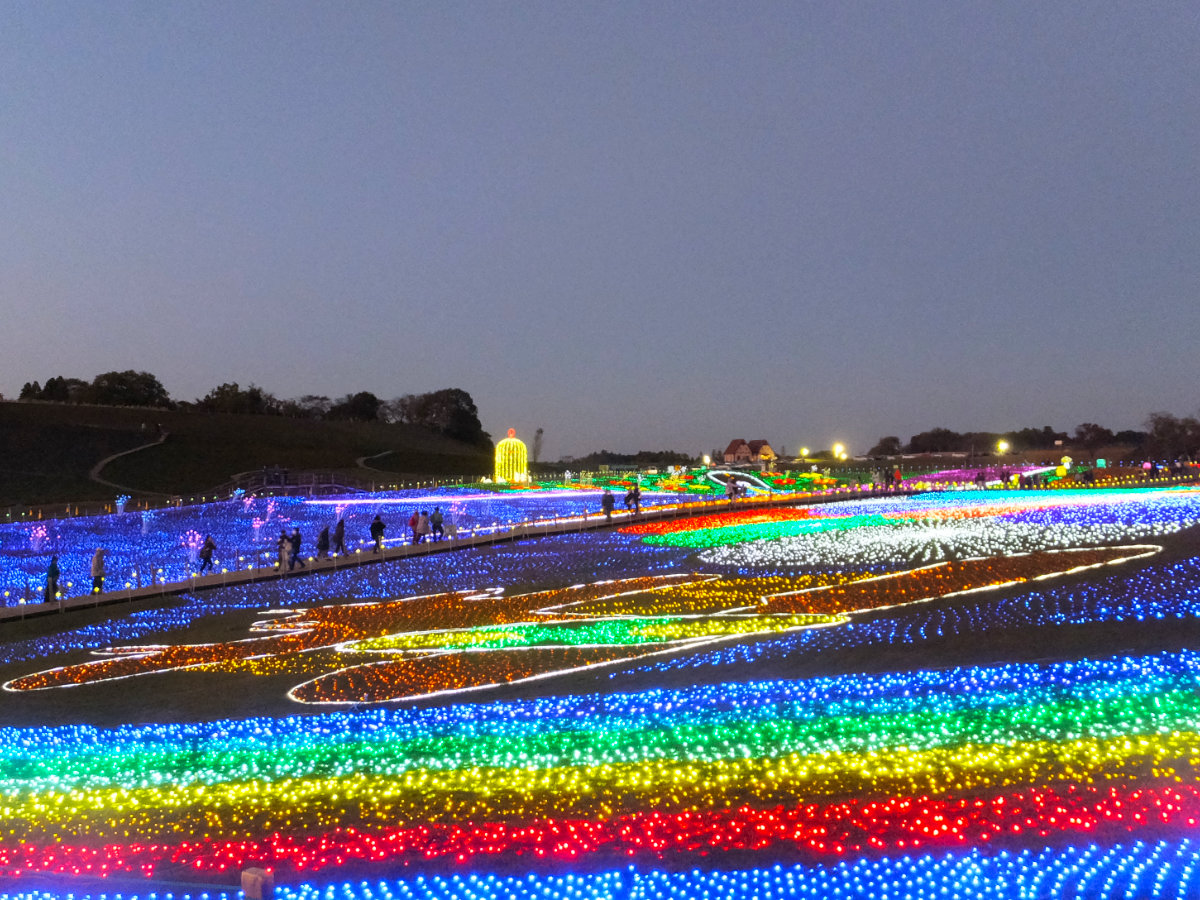 東京ドイツ村のイルミネーション