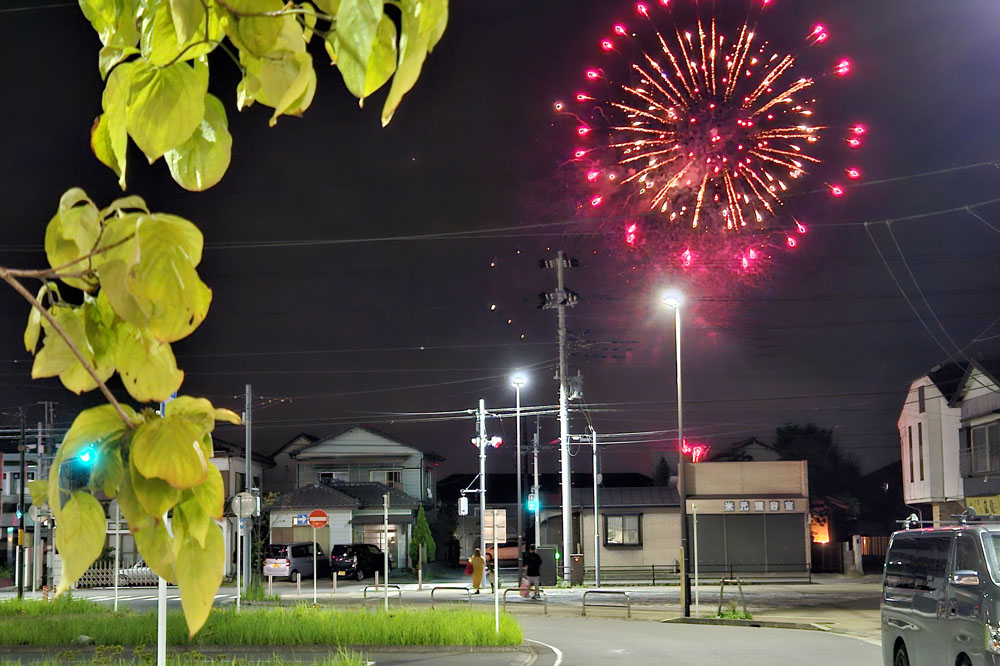 印西市木下駅から利根川の花火大会