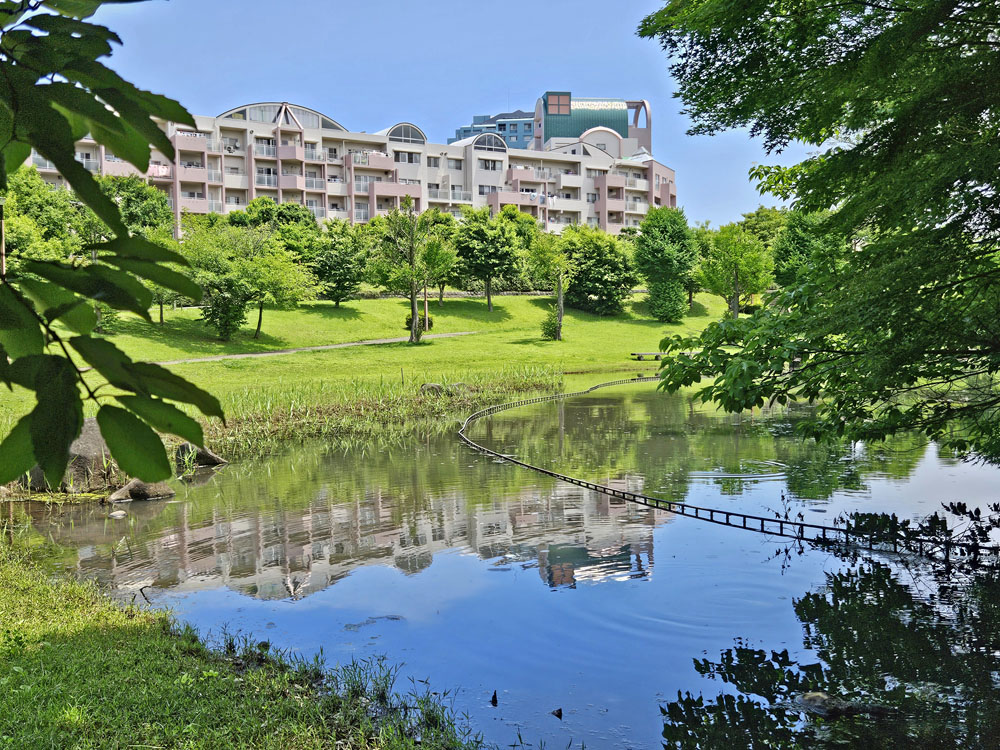 十余一公園のせせらぎ小川
