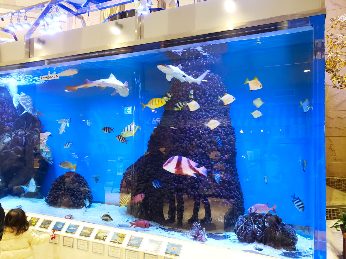 ユアエルム八千代台のエルム水族館