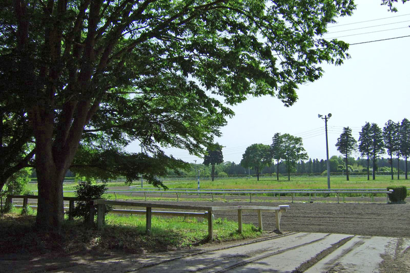 小林牧場