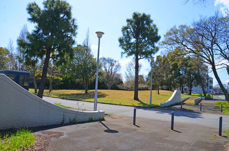 印旛中央公園