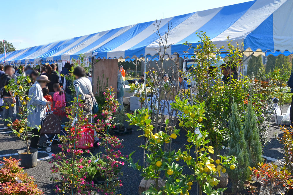 いんざいふるさとまつり