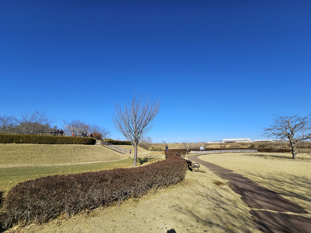 三里塚さくらの丘