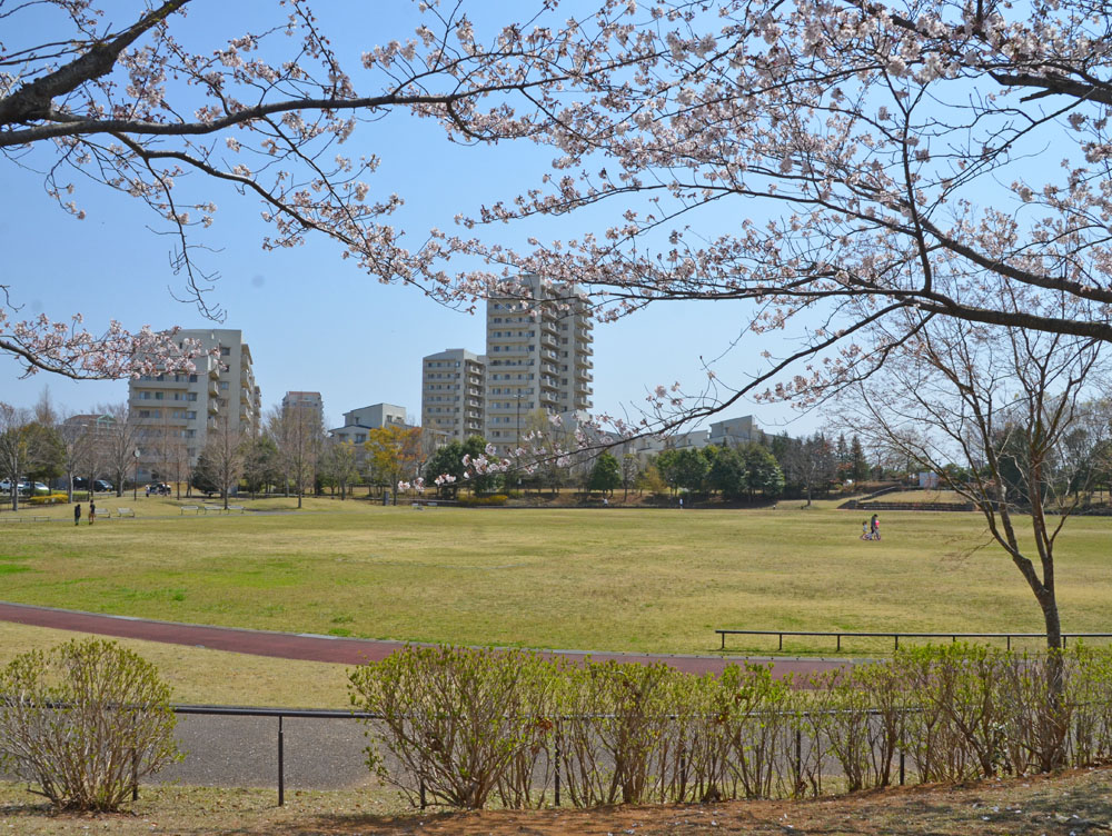 滝野公園