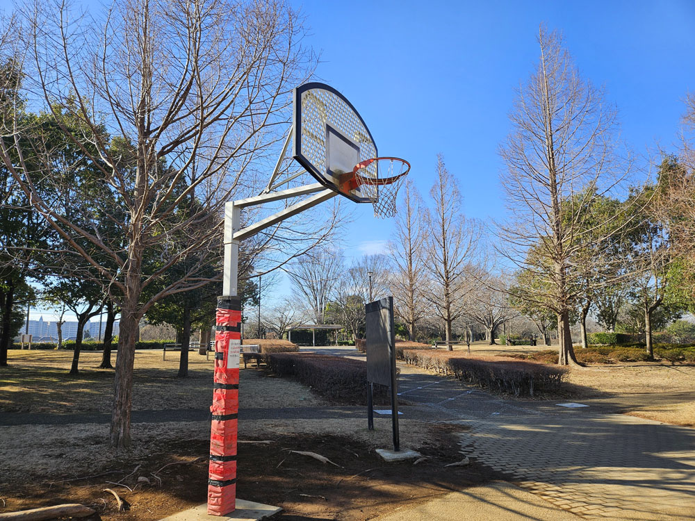 滝野公園のバスケットゴール
