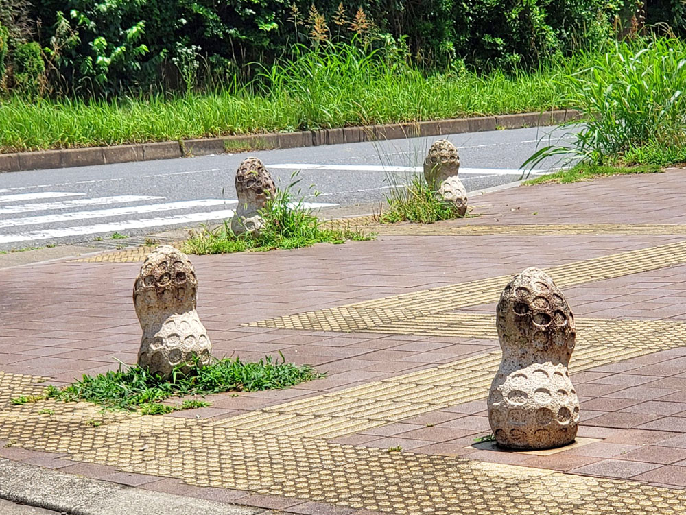 印西市滝野の歩道にある落花生のモニュメント