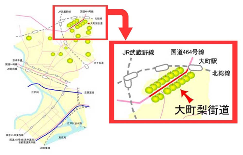 大町梨街道