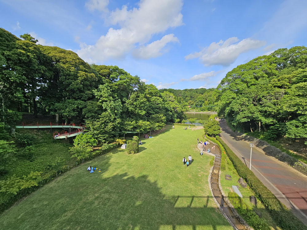 坂田ヶ池総合公園の小川とじゃぶじゃぶ池
