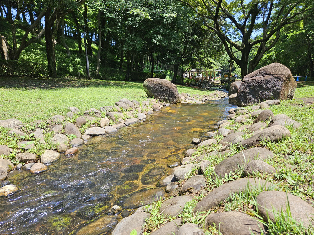 花島公園の小川せせらぎ
