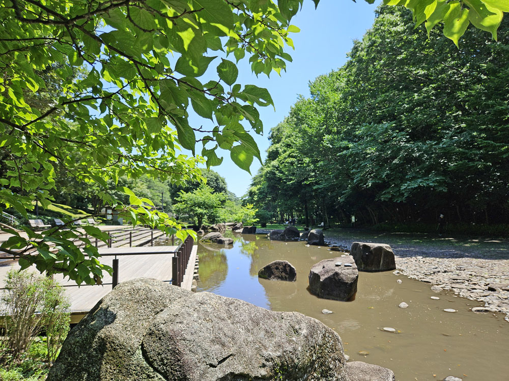 花島公園のじゃぶじゃぶ池