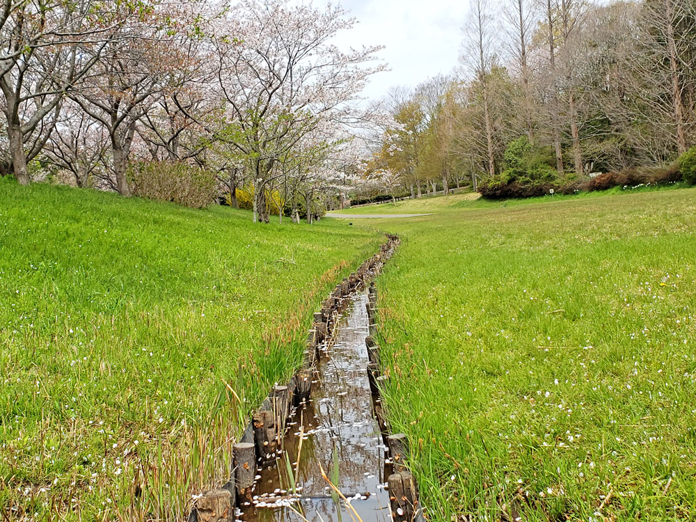 布佐の宮ノ森公園