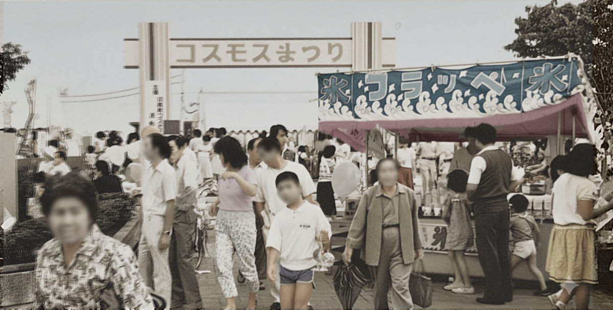 印西市コスモスまつりの昔