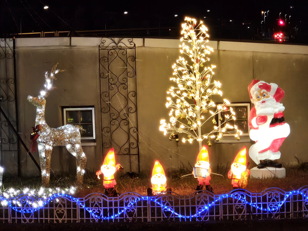 日医大駅前いには野イルミネーション2024