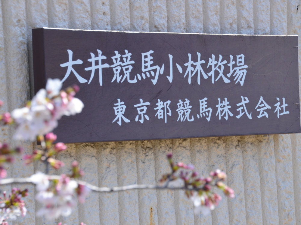 大井競馬場小林牧場