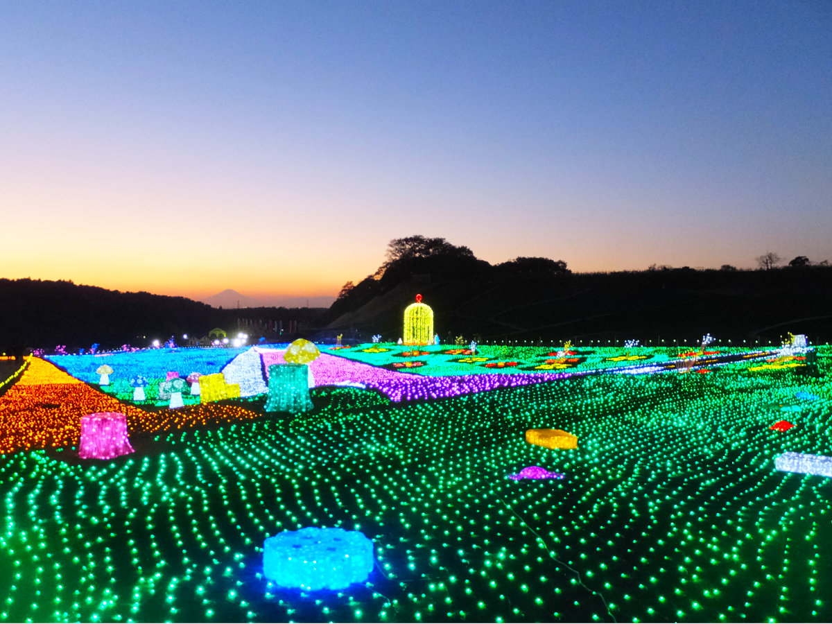 東京ドイツ村のイルミネーションと富士山