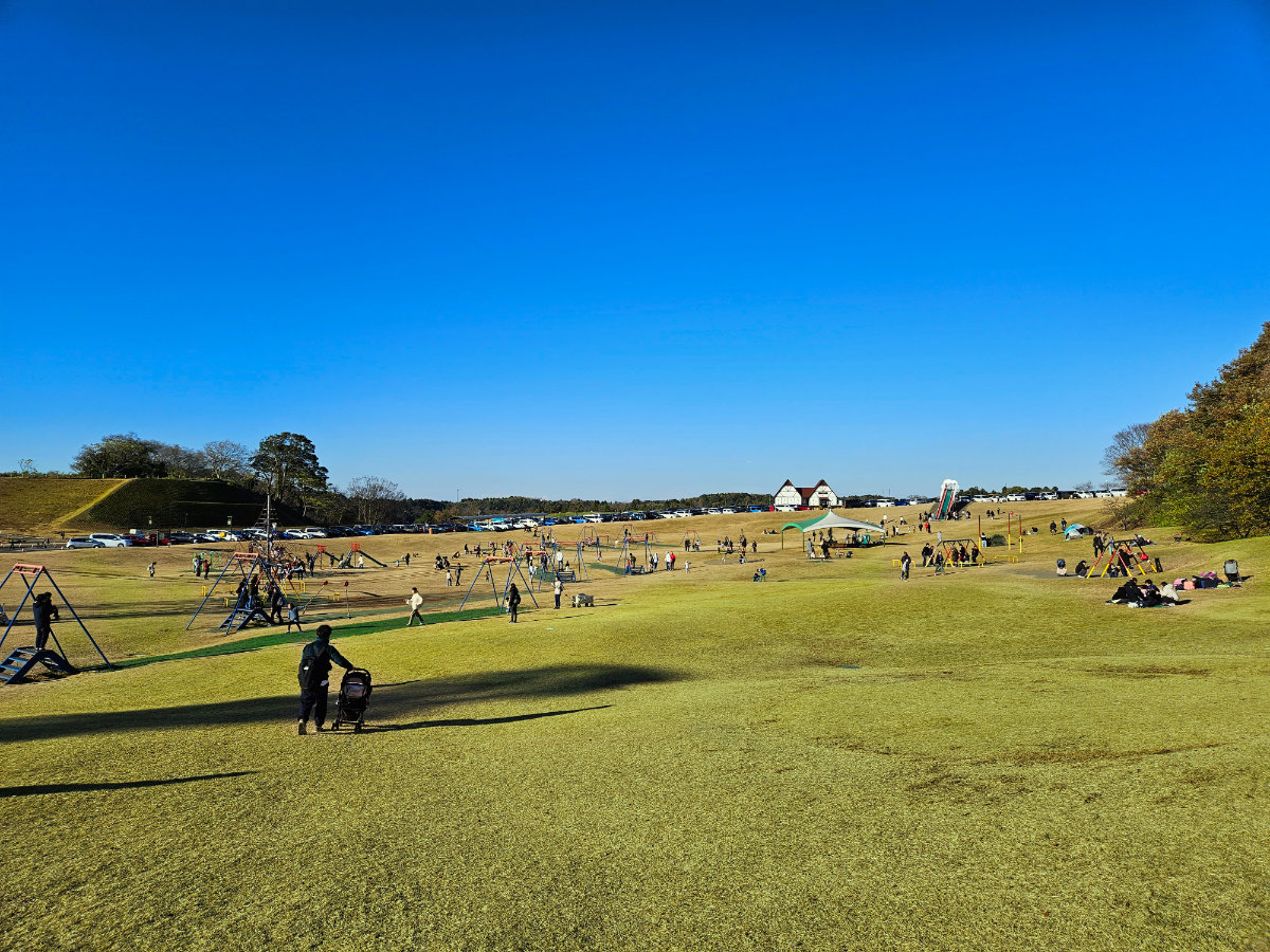 東京ドイツ村の芝生