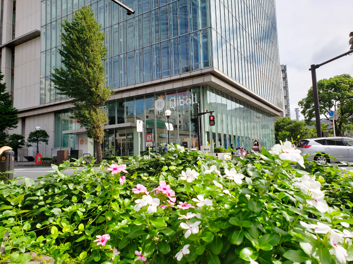 千葉市きぼーる