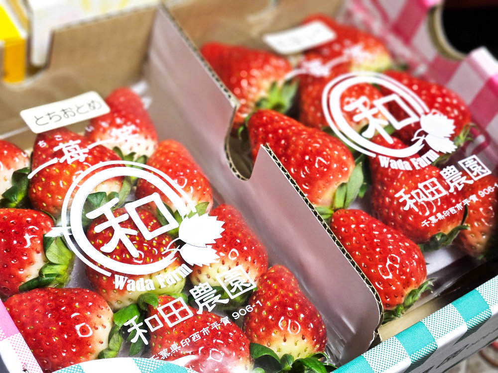 和田農園のいちご