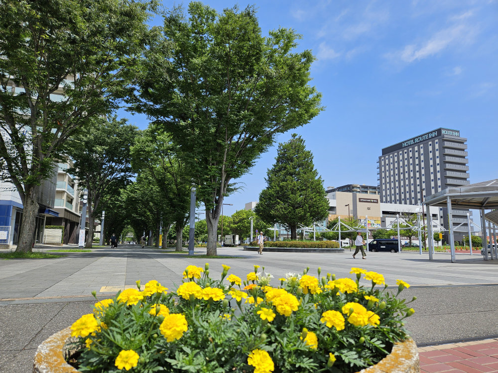 千葉ニュータウン中央駅北口