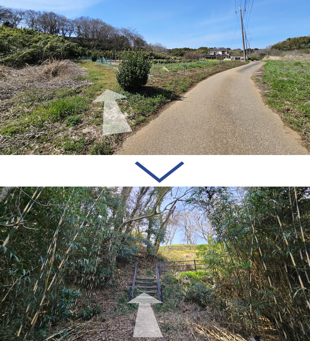 印旛沼公園臨時駐車場からショートカット