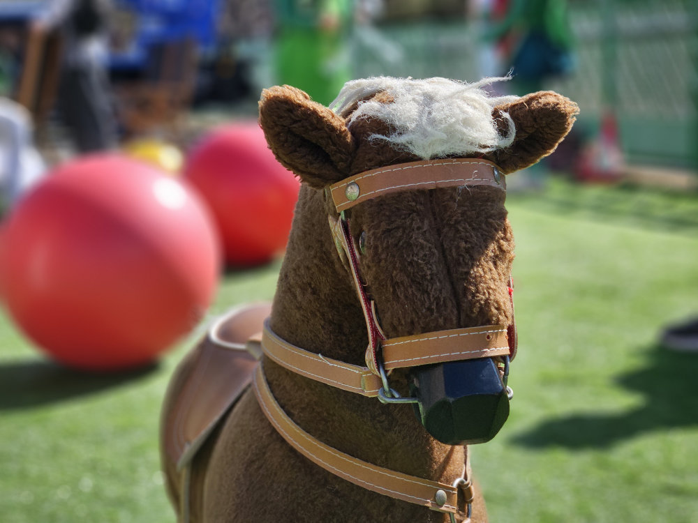 高花ベース芝生広場