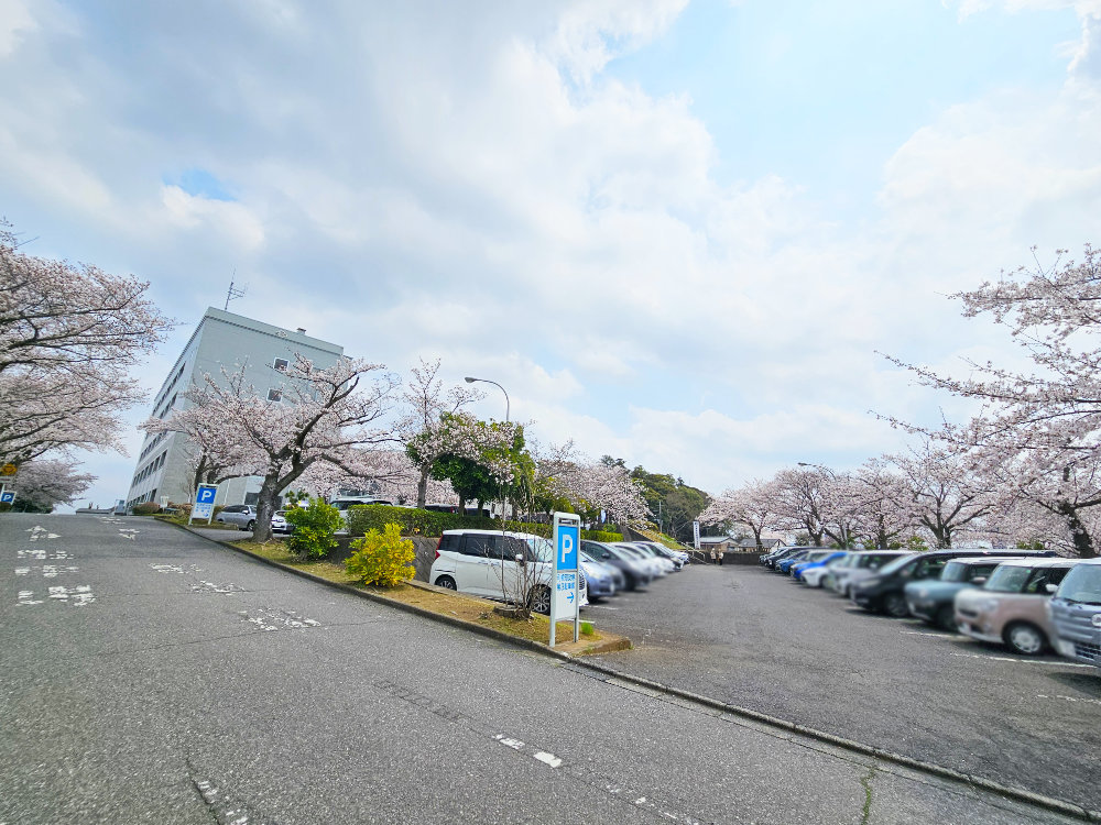 利根町役場の駐車場