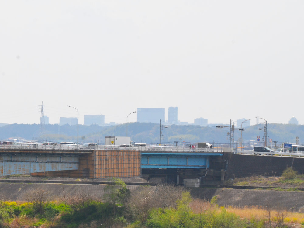利根川栄橋から見た千葉ニュータウン