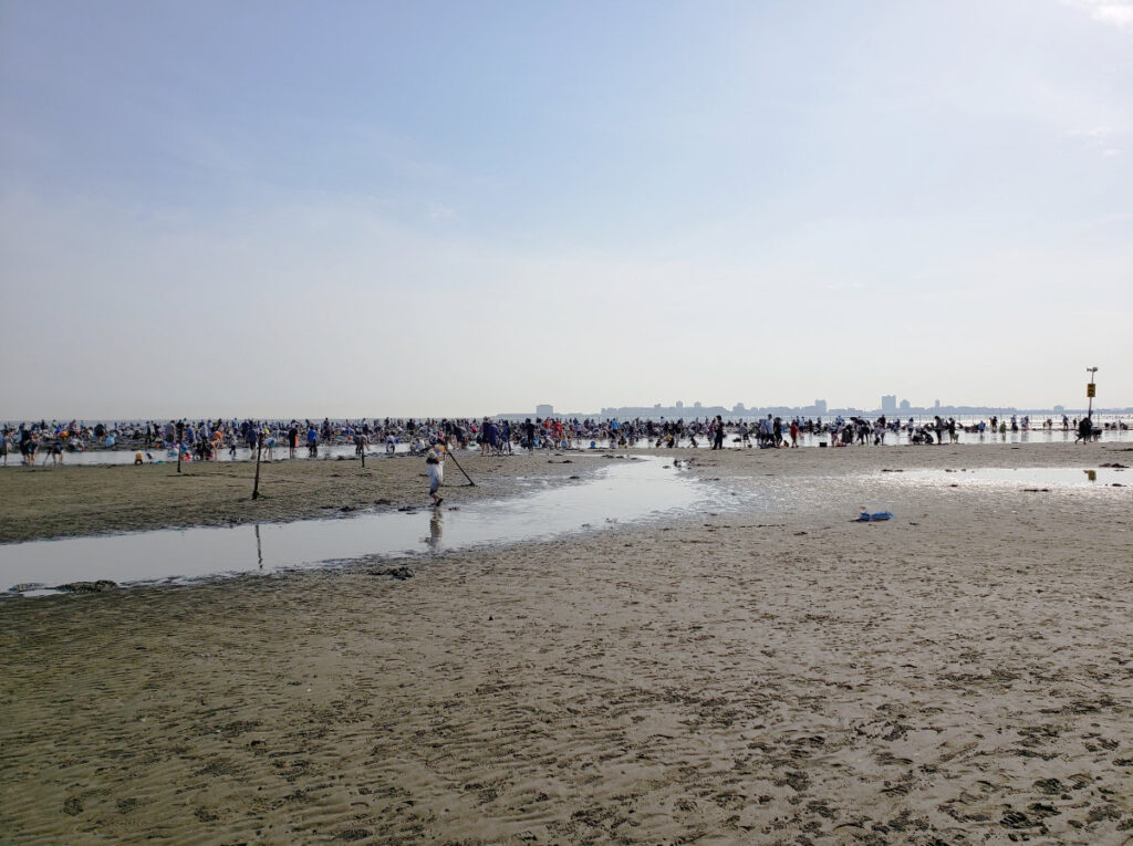 ふなばし三番瀬海浜公園の潮干狩り