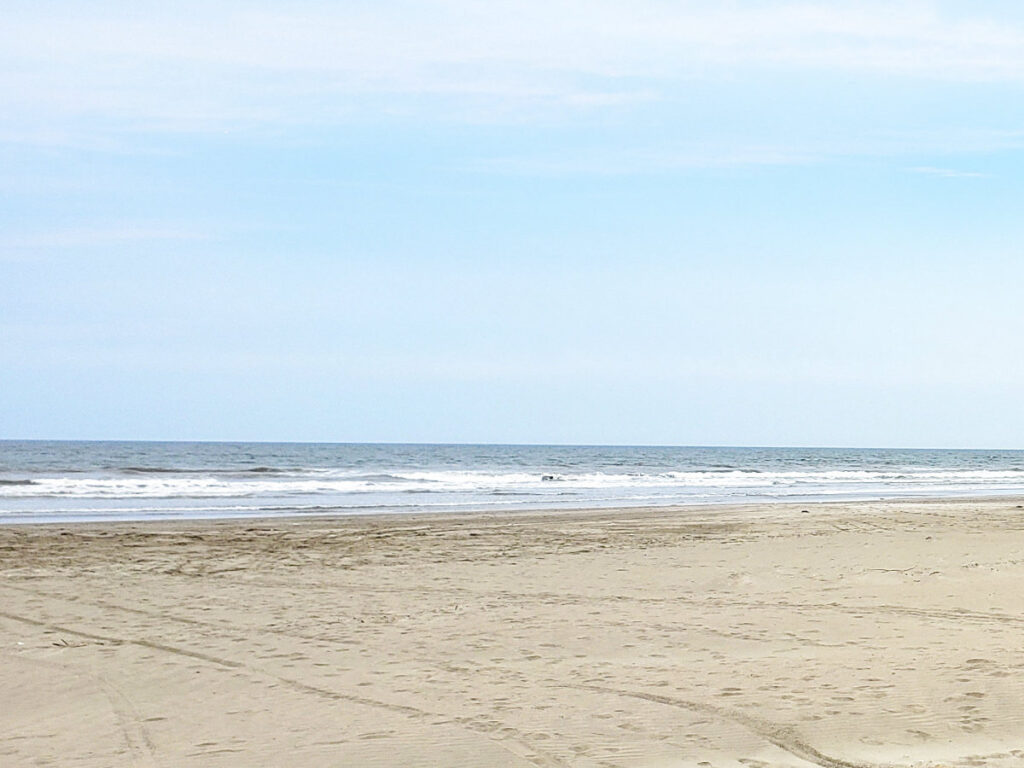 茨城県鹿島灘の潮干狩り