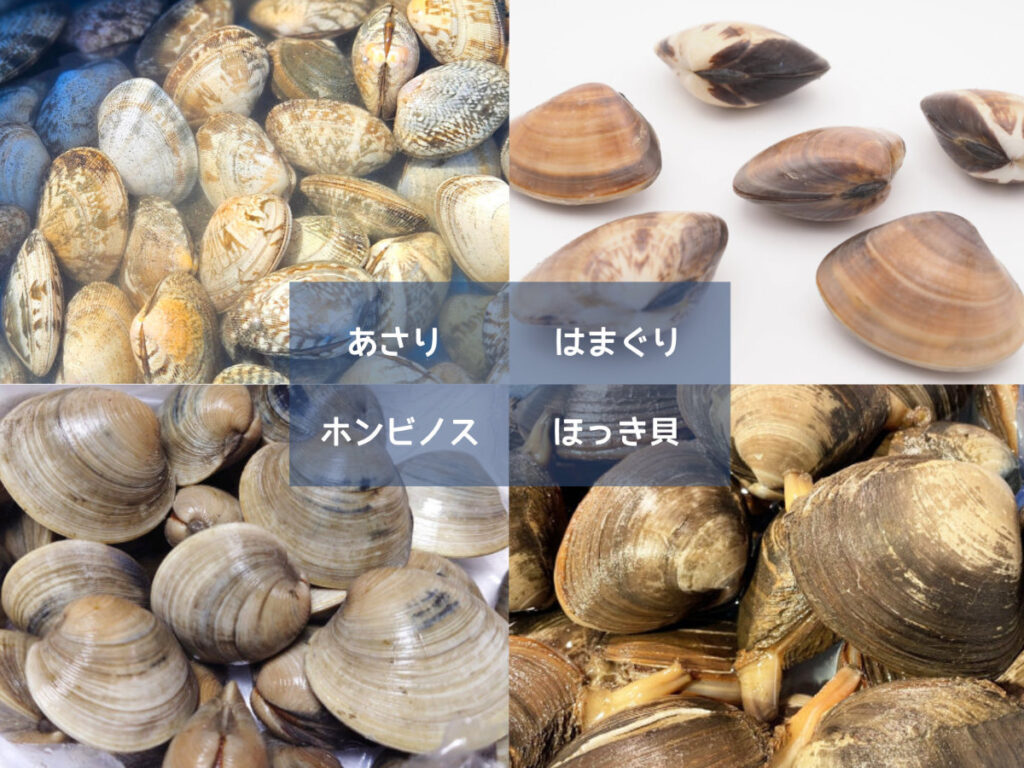 潮干狩り貝の見分け方