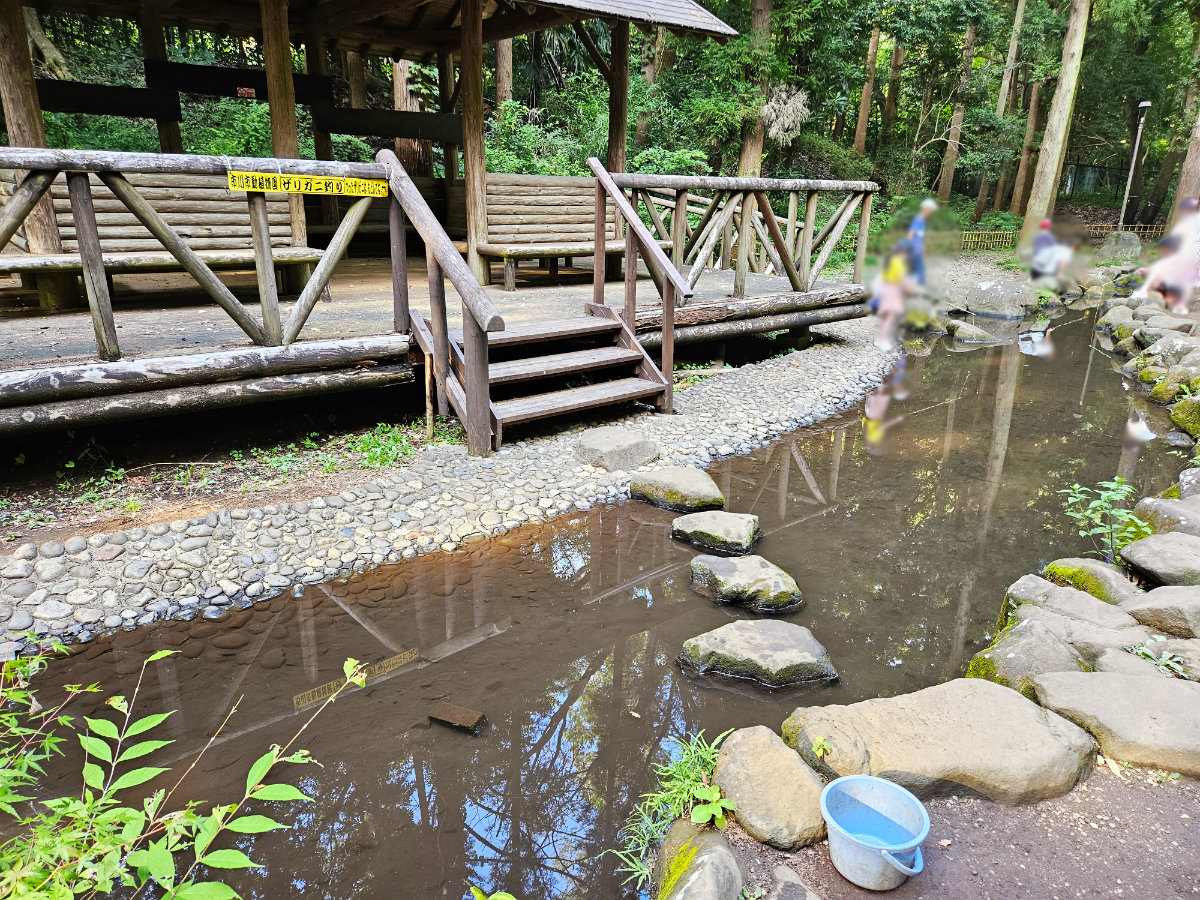 市川動植物園のザリガニ釣り