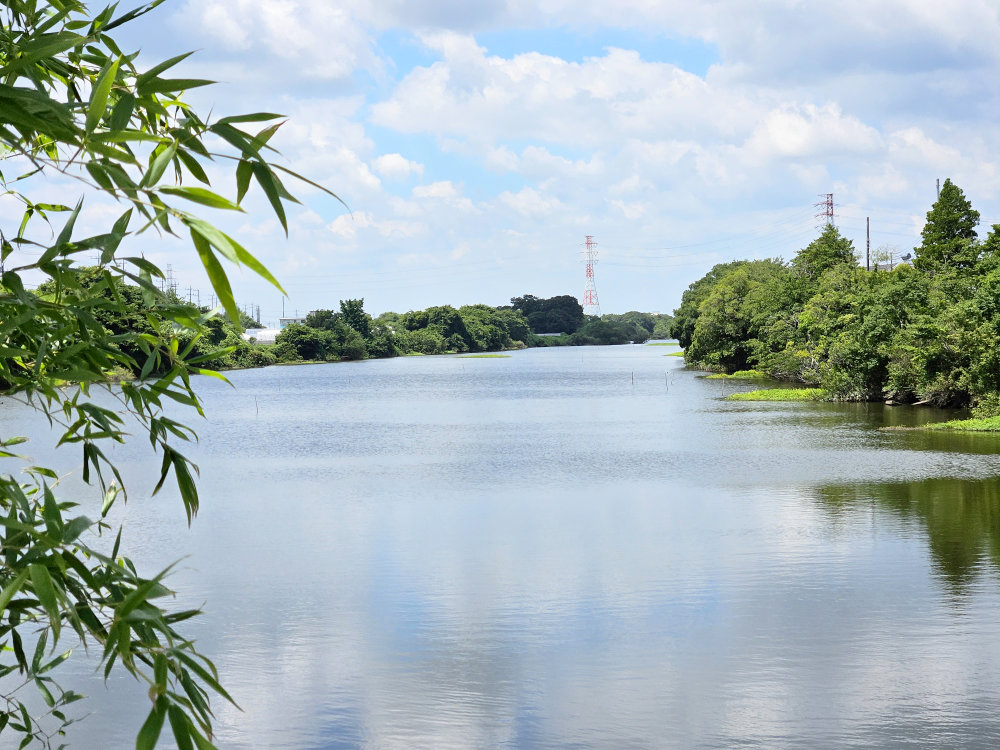 将監川