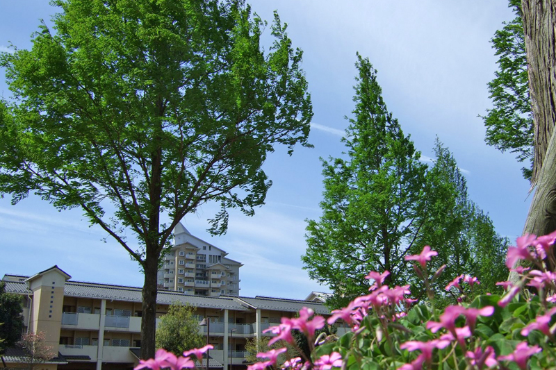 印西牧の原の風景