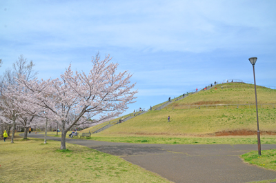 牧の阿公園のひょうたん山