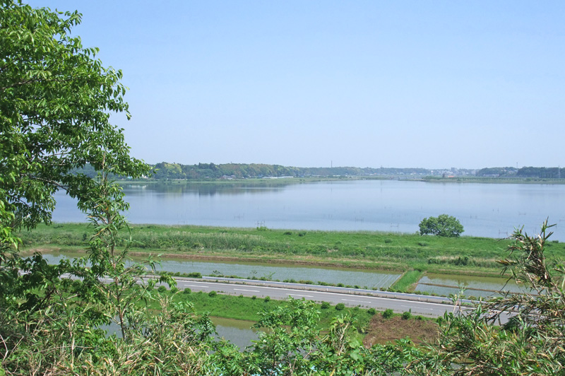 印旛沼公園・師戸城址と花見の会2025 (Imba Numa Park & Moroto Castle)
