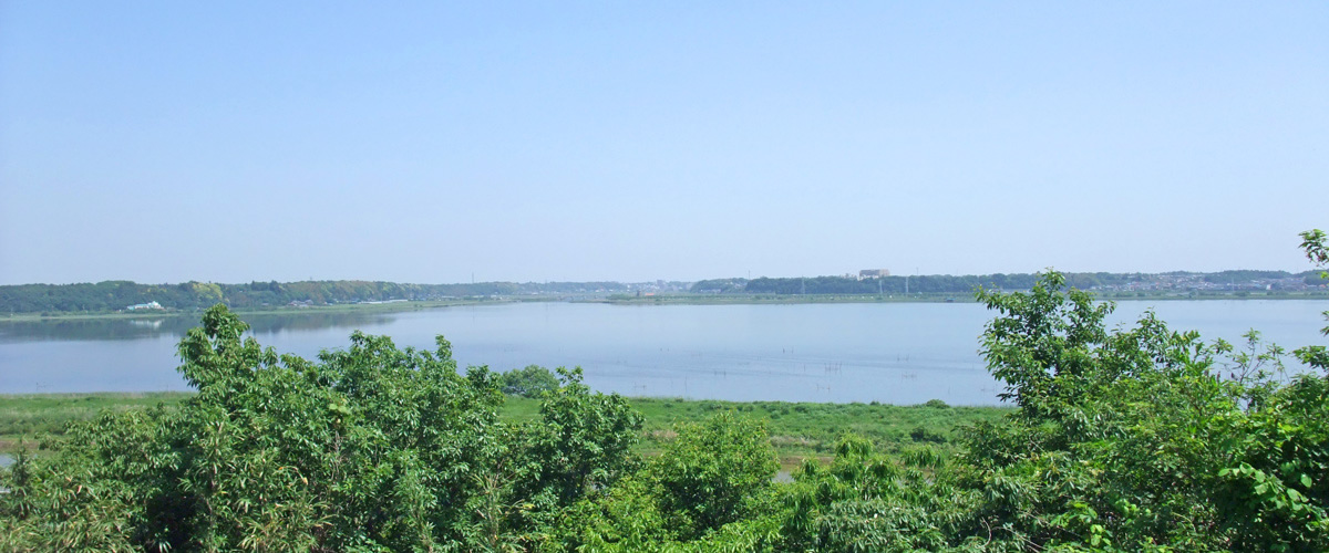 印旛沼公園から印旛沼を見下ろす