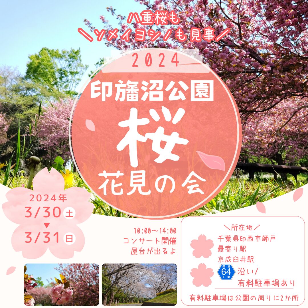 印旛沼公園桜花見の会2024