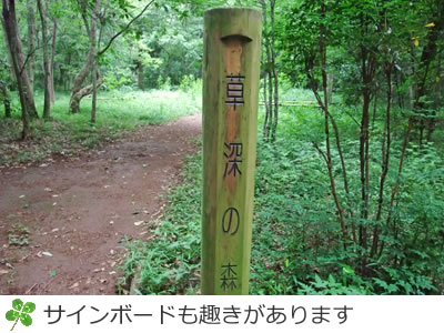草深の森